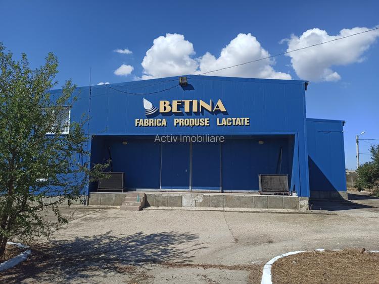 HALA ideala pentru PRODUCTIE ALIMENTARA, Poiana, Ovidiu – 827 mp, teren 4066 mp - 11