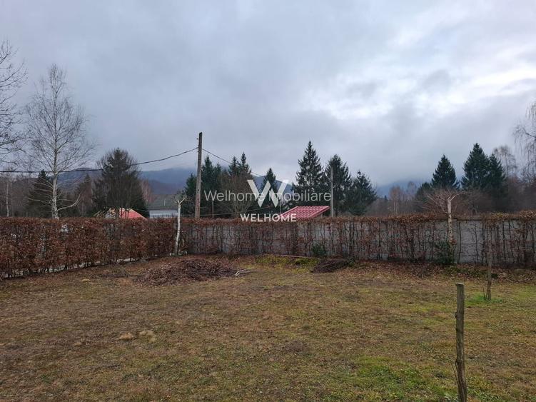 Teren deosebit pozitionat, cu livada, langa padure,  pe Valea Avrigului - 7