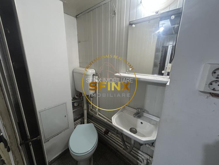 Sp comercial | Teiul Doamnei | 51mp | Disponibil Imediat - 4