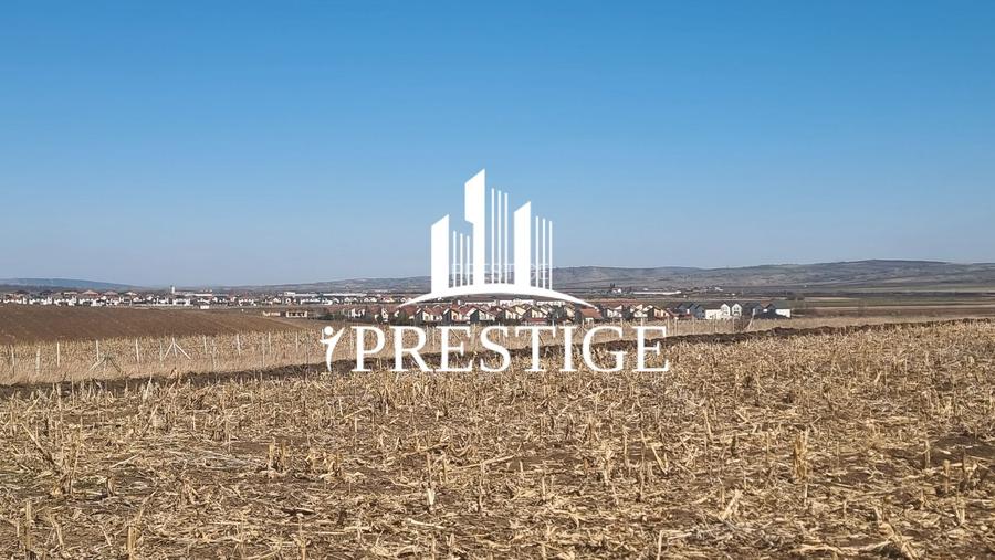 TEREN INTRAVILAN CU UTILITĂȚI | PUZ | CONSTRUCȚIE CASĂ | ȘURA MICĂ - 6