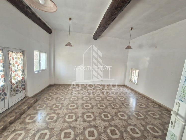 Casă spațioasă cu 2 locuințe și teren generos de 5.755 mp în Șandra - 17