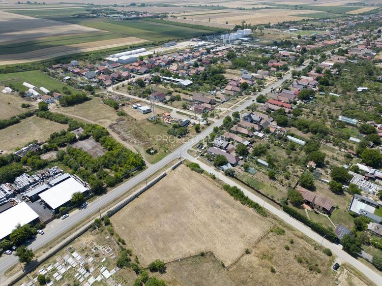 Teren intravilan 6.005 mp in Zădăreni - 2