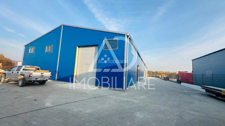 Închiriere hală 1000 mp situată în strada Narciselor , Târgu-Jiu - 9