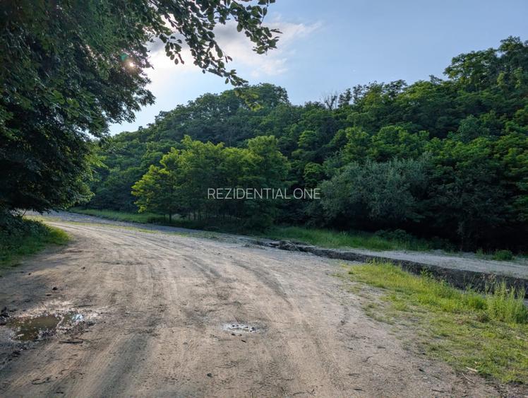 Sarata Bai- Oportunitate investitie- 4038 mp- priveliste spectacol - 12