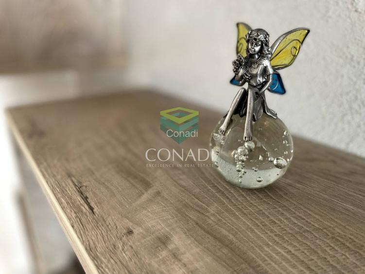 Garsoniera renovata modern str Nada Florilor - Teiul Domnei - 23