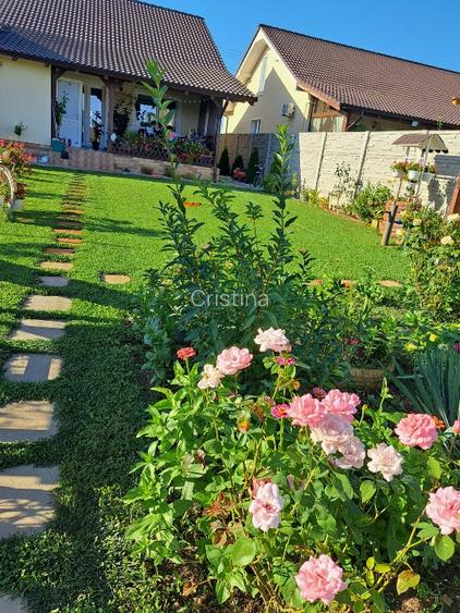 Duplex complet mobilat Bucovat Remetea Mare  - 3