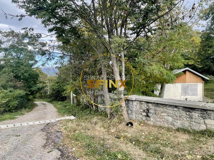 Vila Zoldy, 21.823 mp teren cu iesire catre paraul Prahova - 12