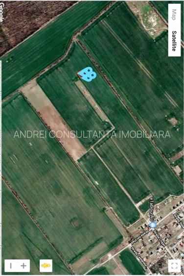 Vanzare 1000, 2000 sau 3000 mp teren intravilan in Buftea langa padure - 4