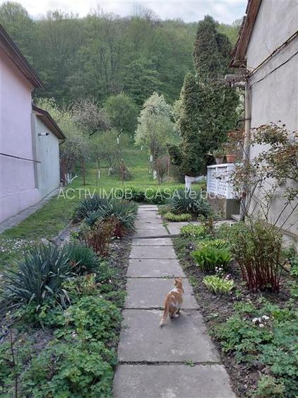Bocsa Montana, Casa mare la strada principala - 5