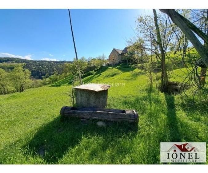 Casa de vanzare cu 46774 mp teren in zona Vintu - 2