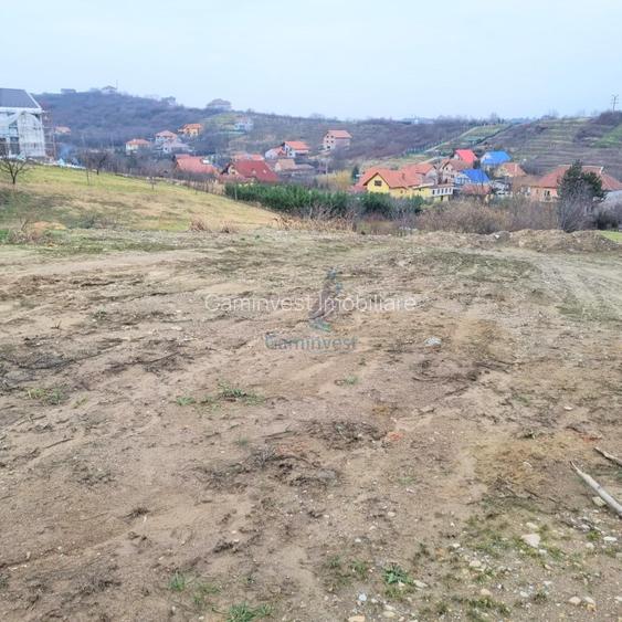 Vanzare Teren intravilan 3133 mp strada Sofiei, Oradea, Bihor - Exclusivitatate - 2