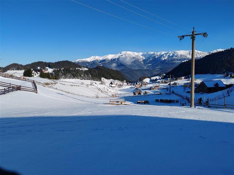 Teren Intravilan Fundata 1421Mp - 6