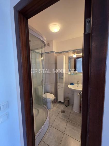 Garsonieră spațioasă Ozana, parcare, centrală proprie, balcon, pet friendly - 9