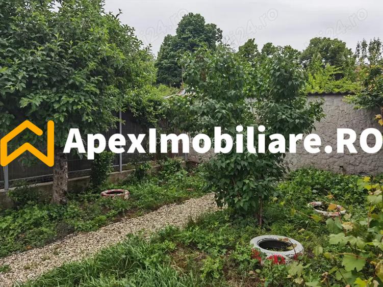 Casa 3 camere de inchiriat Baneasa București | ApexImobiliare.ro - 3