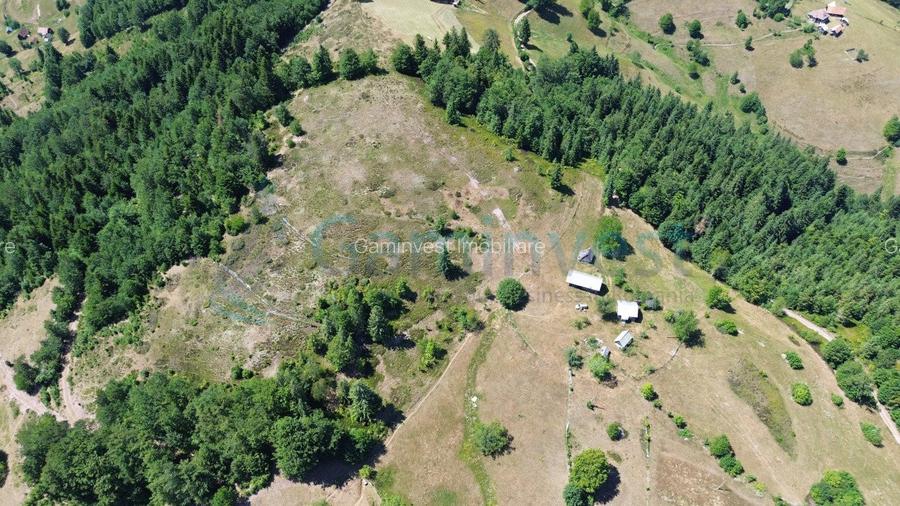 Teren pentru investitie turism, cu izvor si acces la utilitati, zona Arieseni - 3