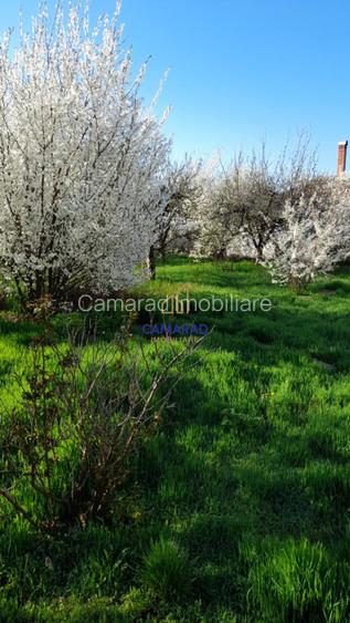 Spațiu comercial de vânzare în Tămădău Mare, jud. Călărași – Strada Principală - 19