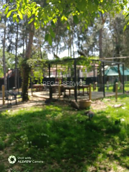 POPASUL CU PAUNI- DE 85, spre  URZICENI, inchiriere restaurant cu terasa - 5