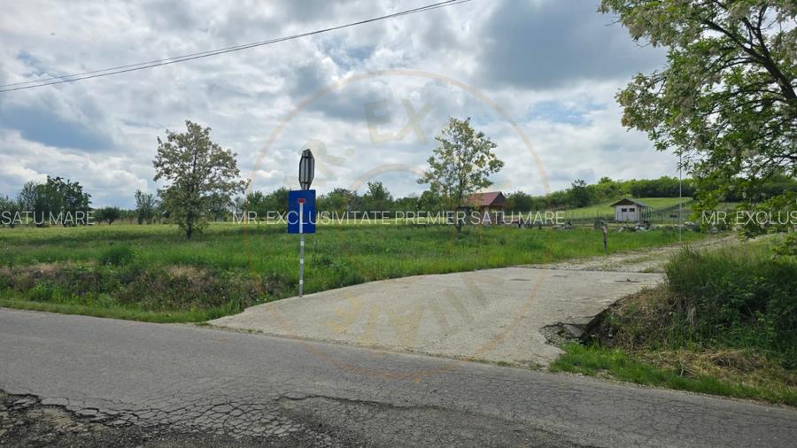 Teren intravilan Ardud Vii Satu Mare - 2