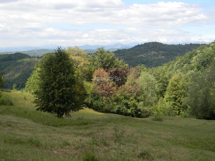 Teren intravilan de vanzare in Telega - 9