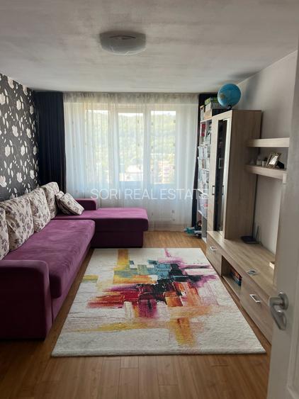 Apartament 2 camere, Astra, Liviu Cornel Babes - 4