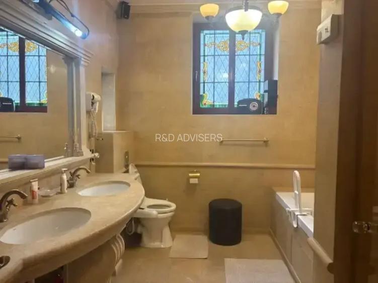 Oportunitate De Vanzare! Vila Exclusivista Unirii - Matei Basarab - 18