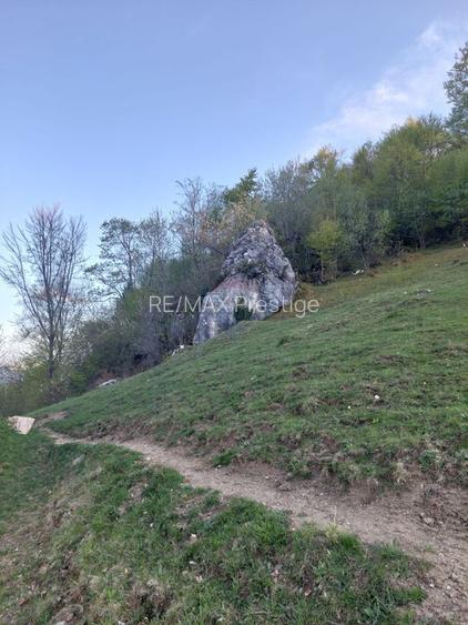 Teren intravilan panoramic în Peștera, Moieciu - 11048 mp - 7