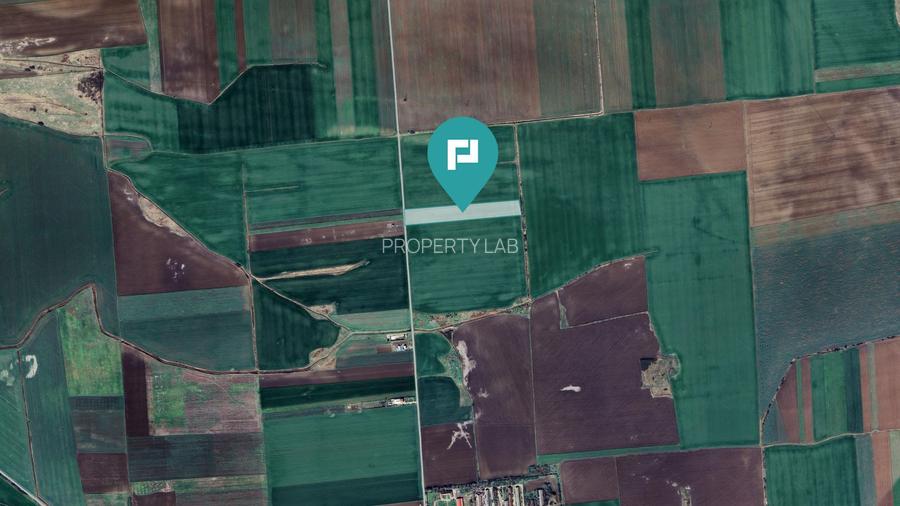 Teren 30.000 mp cu acces asfaltat – Peciu Nou - 3