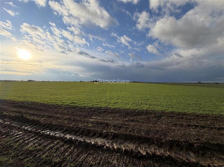 TEREN INTRAVILAN 24457 MP | 80 ML FRONT STRADAL | ORADEA | BIHOR - 4