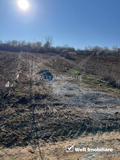 Teren extravilan cu gradina in Saliste - 4