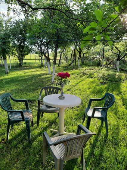 Casa de vanzare si teren 3600 mp Radomiresti - 5