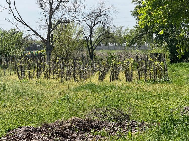 Casa veche si teren generos Bailesti - 6