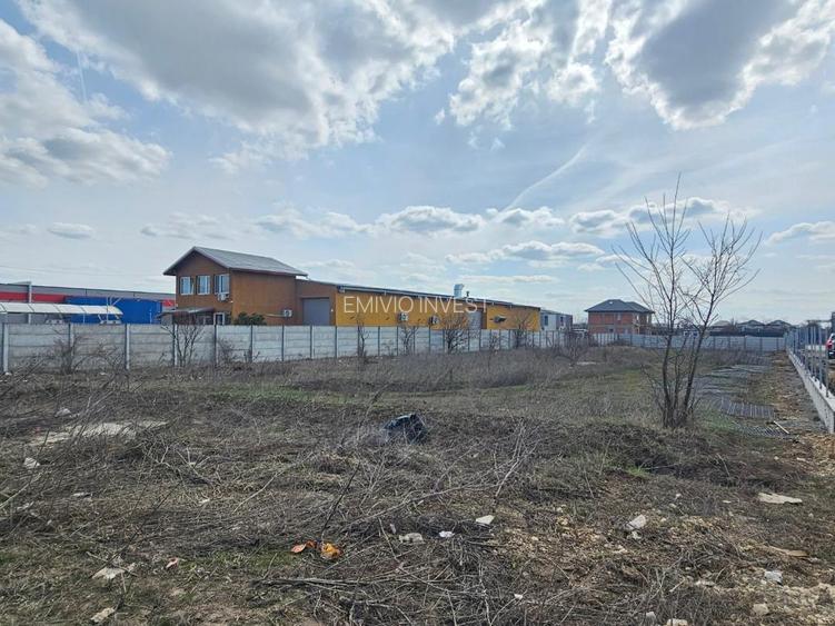 Terenuri de închiriat cu deschidere la DJ 100 – suprafețe generoase, acces TIR. - 6