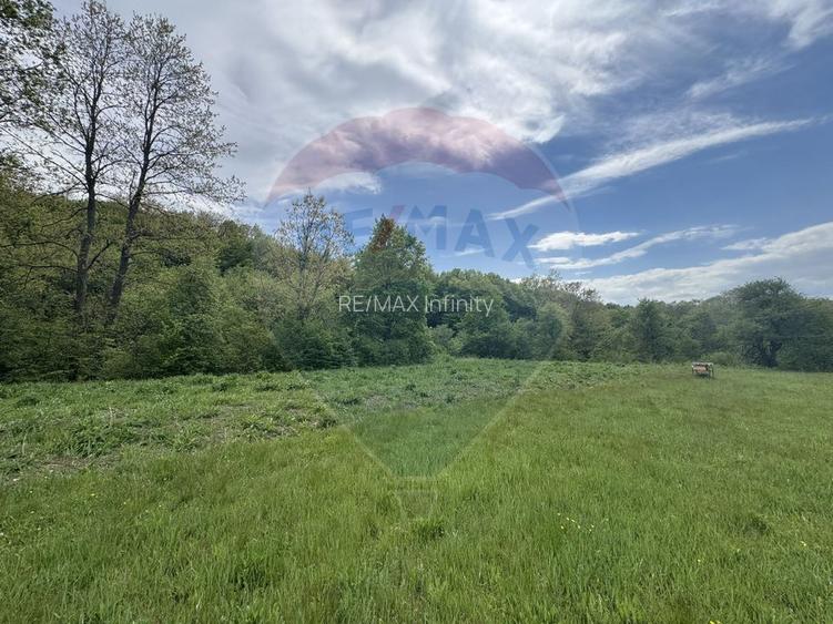 Proprietate OFF-GRID 5,76 Ha. Casa tradiționala lemn. Limită Cluj - 10