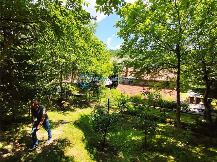 Royal Imobiliare -vanzare vila/ casa de vacanta zona CAMPINA - 25