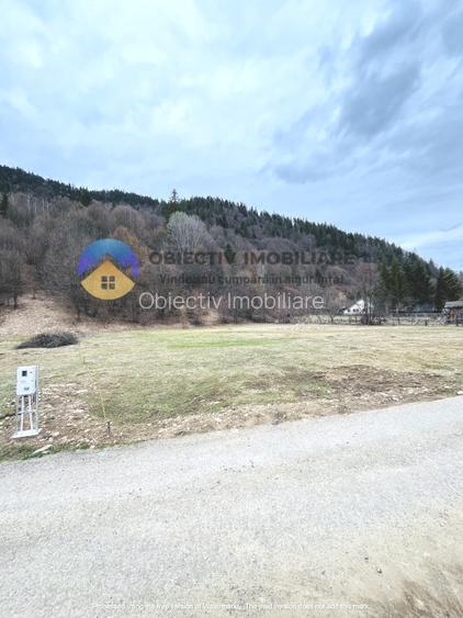 TEREN zona de munte TARCAU - 3