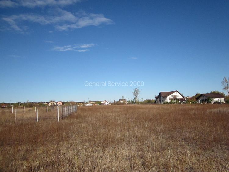 Domnesti-Teghes - 13