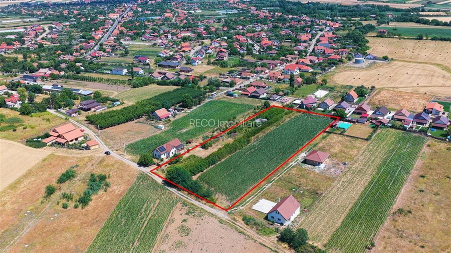 RECO Teren intravilan Biharia - 2