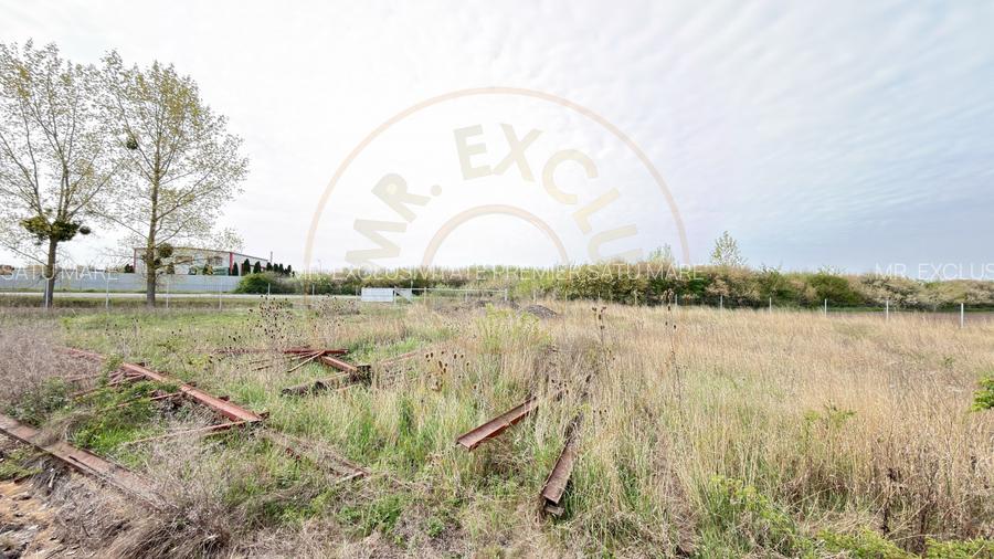 Teren Intravilan 1300 mp / Extravilan 3.700 mp/ DJ 196B Carei (DN 1F) – Foieni - 5