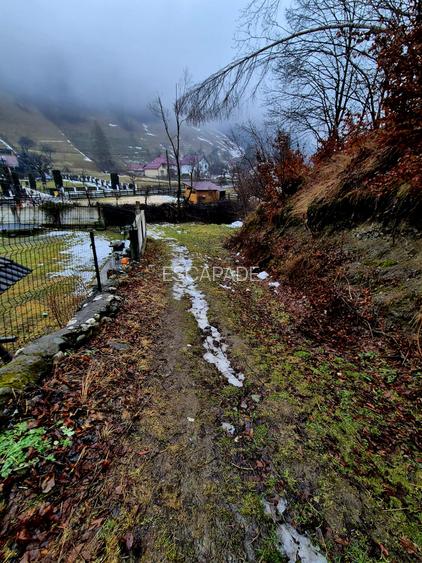 Teren intravilan Simon/Bran, 4318 mp , casuta intabulata, utilitati - 36