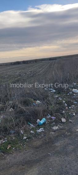 Teren stradal Sos. de Centura 12.000 mp- Glina ( Popesti Leordeni ) - 2