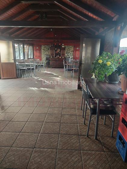 RESTAURANT DE VÂNZARE-COM. OBREJA\SAT IAZ\CARAȘ SEVERIN - 19