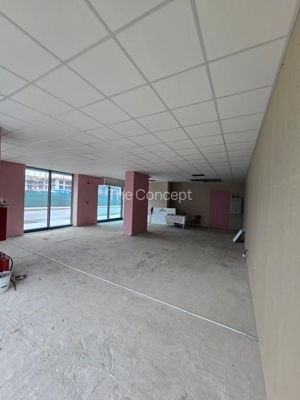 Spatiu Comercial pe Bld. Victoriei vizavi de Parcul Sub Arini - Hotel Mercure - 7