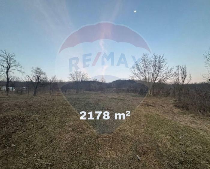 Teren 2.456 mp com. Buhoci / DJ Strada Punții
