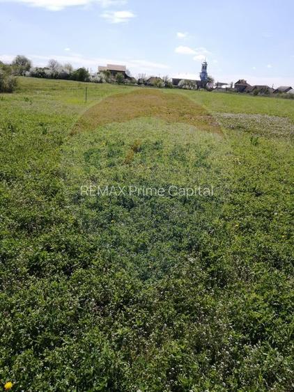 De vânzare teren intravilan, 6574 mp în Leș - 3
