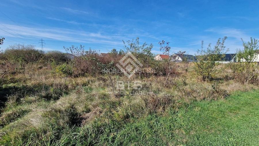 Teren Intravilan  Unirea 1700mp - 5