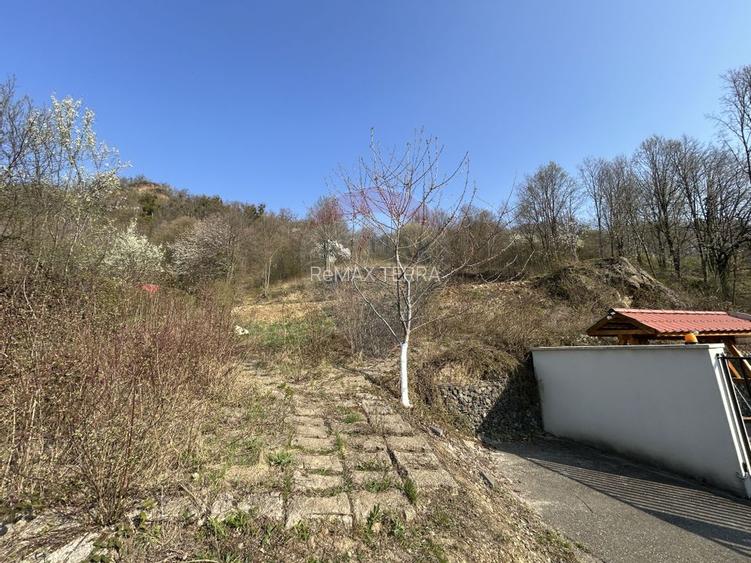 Teren intravilan 756mp si cota parte de drum Baia Mare / Str. Viilor - 5