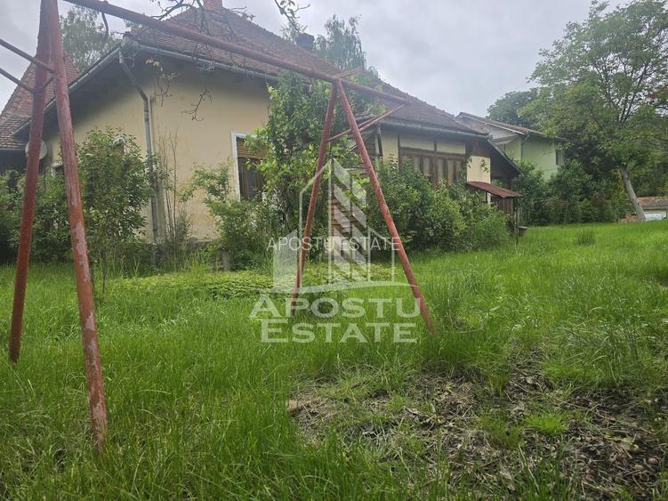 Proprietate cu potential turistic in Gurahont - 25