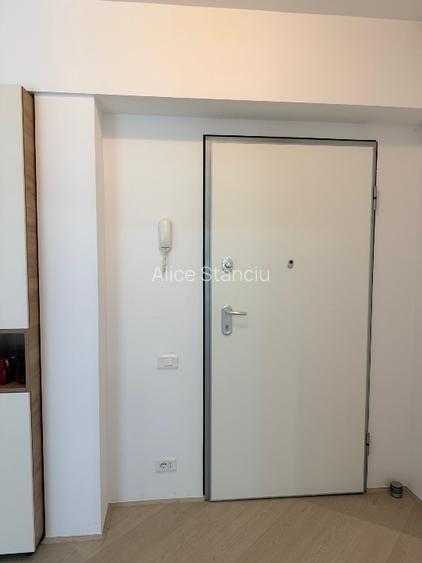 Inchiriere apartament Delta City Vacaresti Tineretului 2 camere - 13