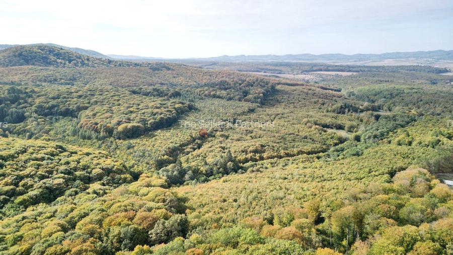 Teren Intravilan - Amplasare Unica - 34