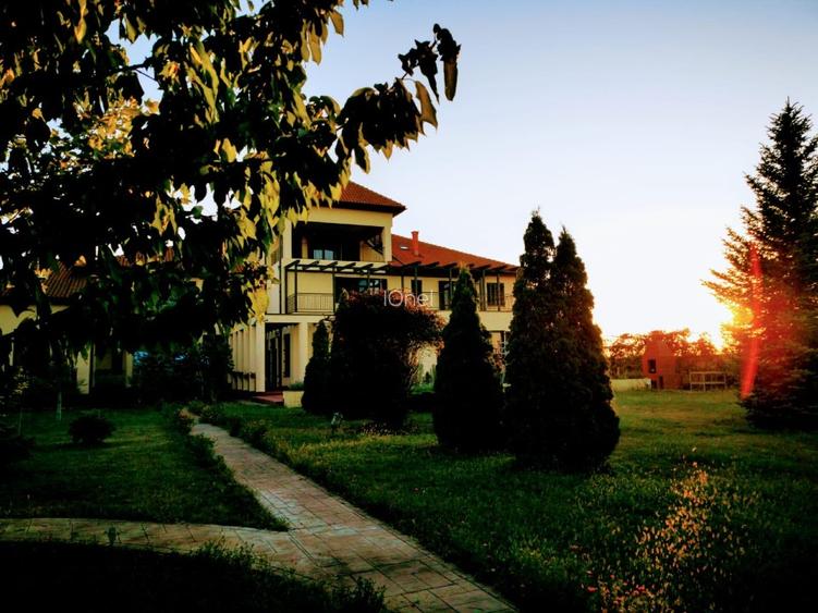 Proprietar vand vila deosebita - 8